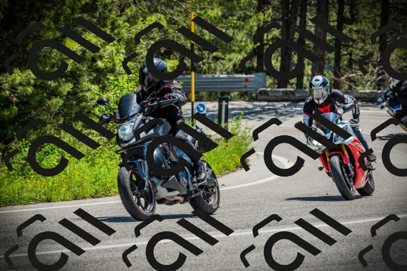 202506021212-DSC04412_c1_