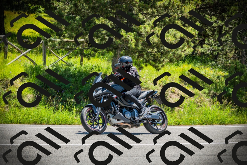 202506021212-DSC04413_c1_