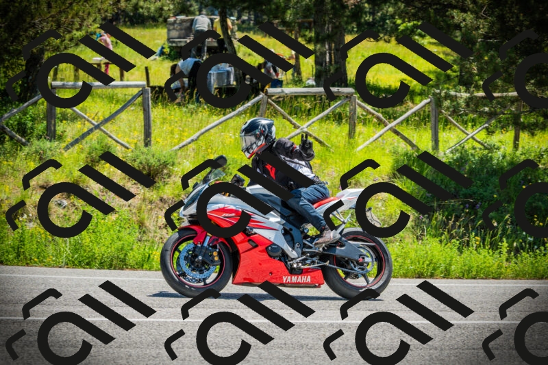 202506021212-DSC04414_c1_