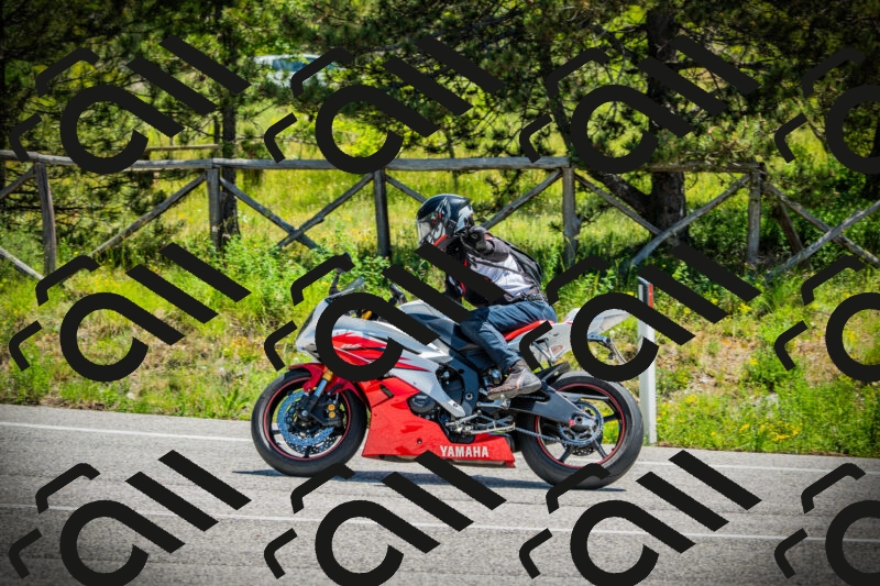 202506021212-DSC04415_c1_