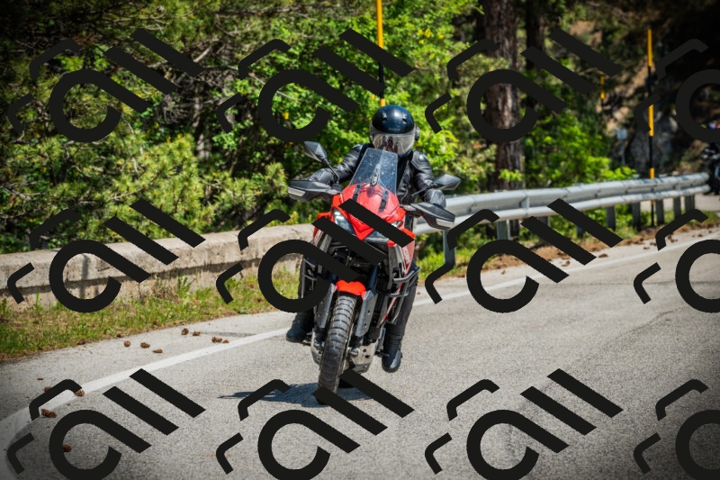 202506021212-DSC04418_c1_