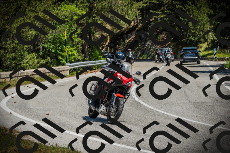 202506021212-DSC04419_c1_