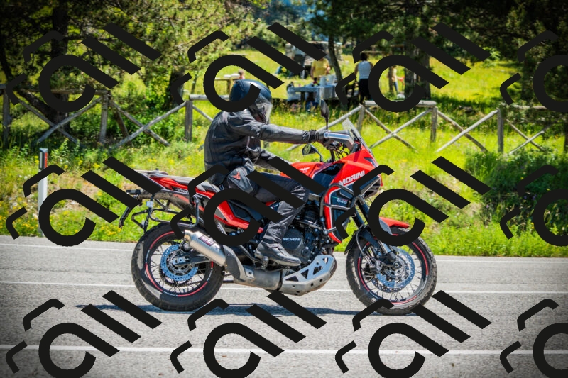 202506021212-DSC04421_c1_