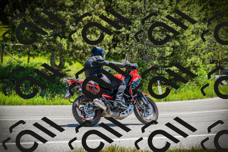 202506021212-DSC04422_c1_