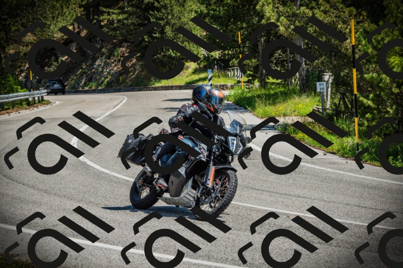 202506021212-DSC04424_c1_