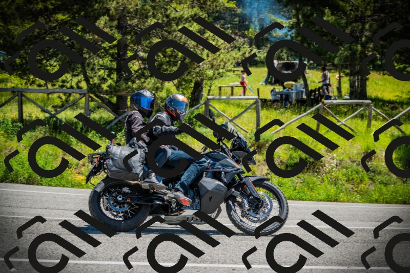 202506021212-DSC04425_c1_