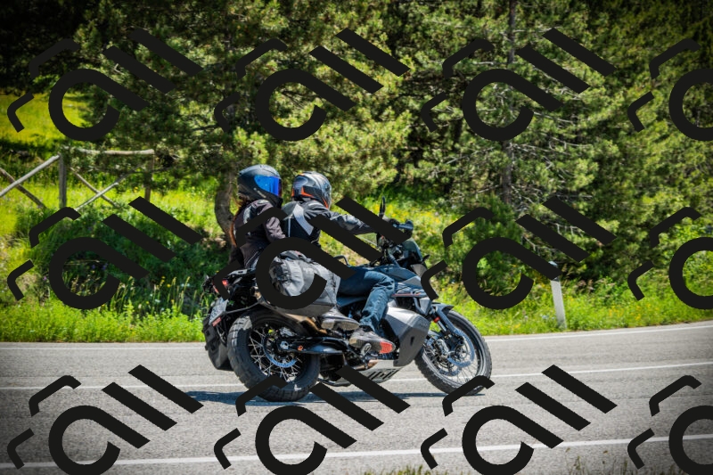 202506021212-DSC04426_c1_