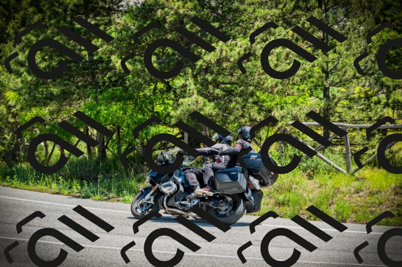 202506021213-DSC04432_c1_