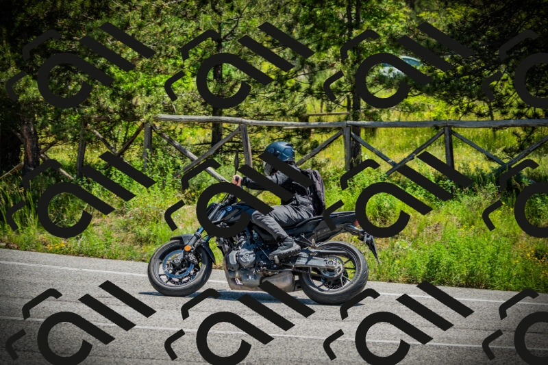 202506021213-DSC04435_c1_