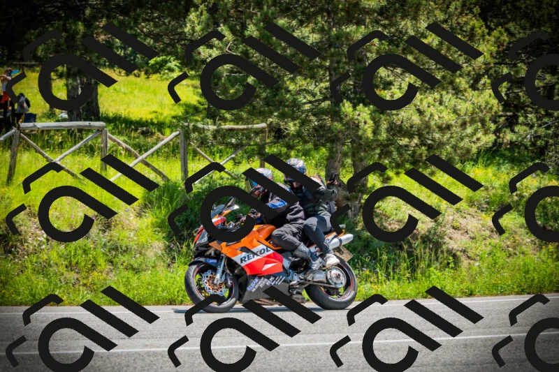 202506021213-DSC04439_c1_