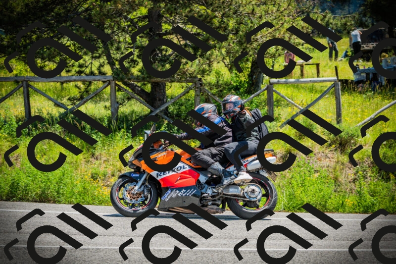 202506021213-DSC04440_c1_