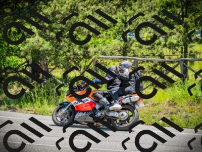 202506021213-DSC04441_c1_