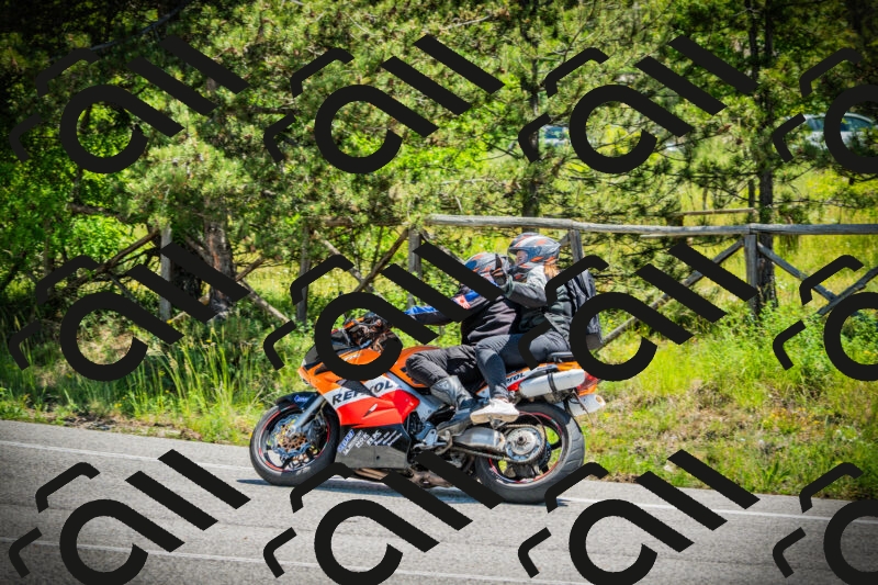 202506021213-DSC04441_c1_