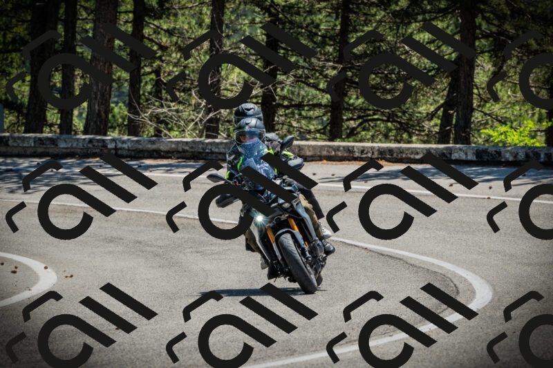 202506021214-DSC04442_c1_