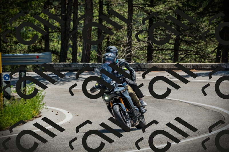 202506021214-DSC04443_c1_