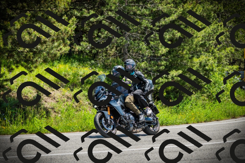 202506021214-DSC04444_c1_