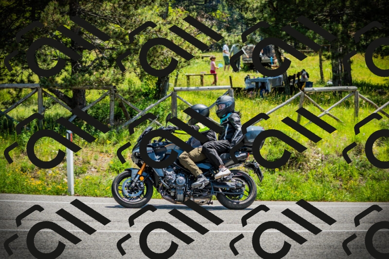 202506021214-DSC04445_c1_