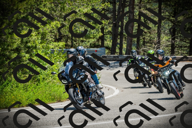 202506021214-DSC04448_c1_