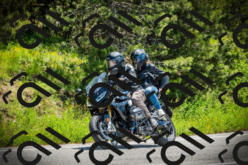 202506021214-DSC04449_c1_