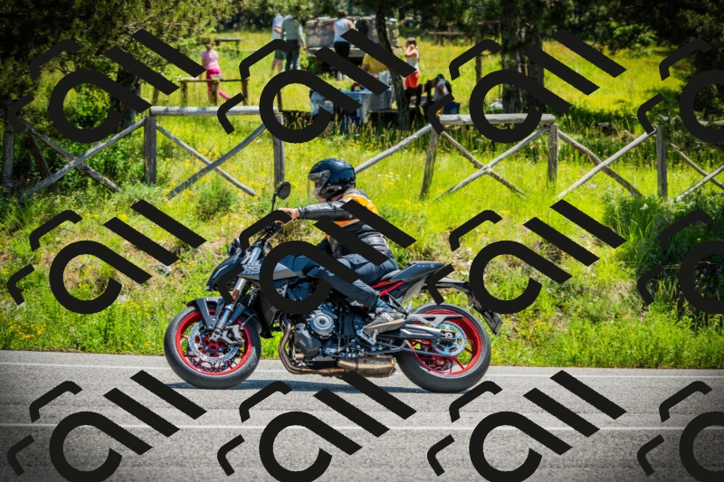 202506021214-DSC04451_c1_