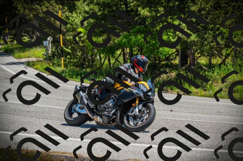 202506021214-DSC04458_c1_