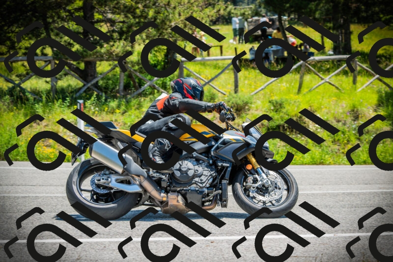 202506021214-DSC04459_c1_