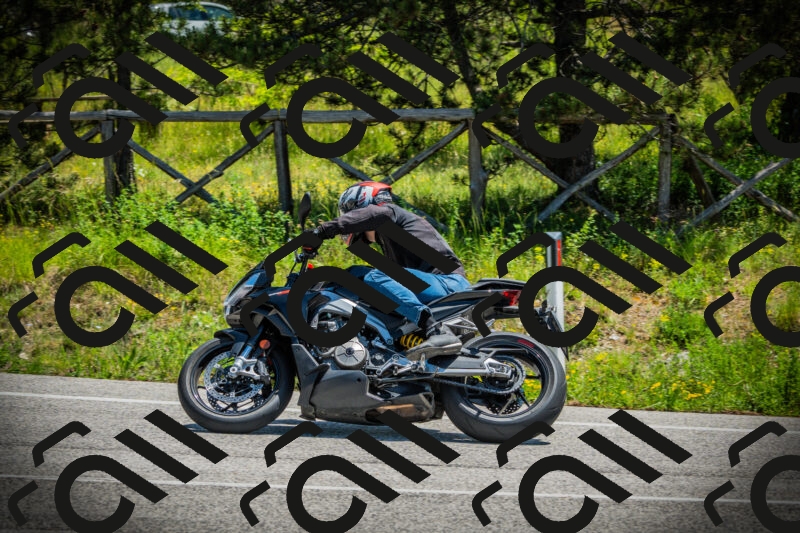 202506021214-DSC04460_c1_