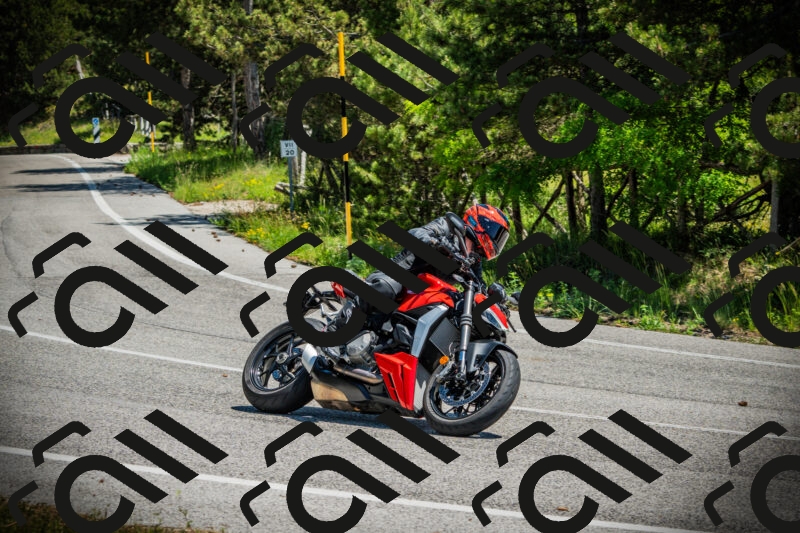 202506021214-DSC04466_c1_