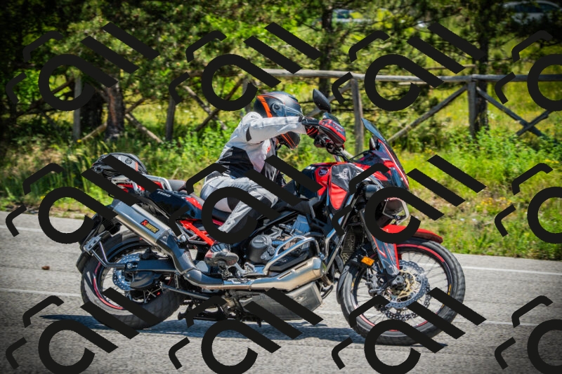 202506021214-DSC04472_c1_