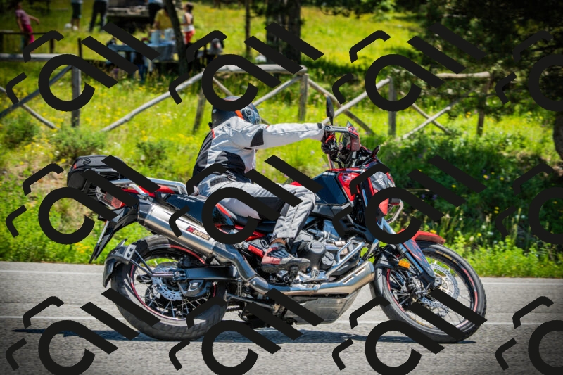 202506021215-DSC04473_c1_