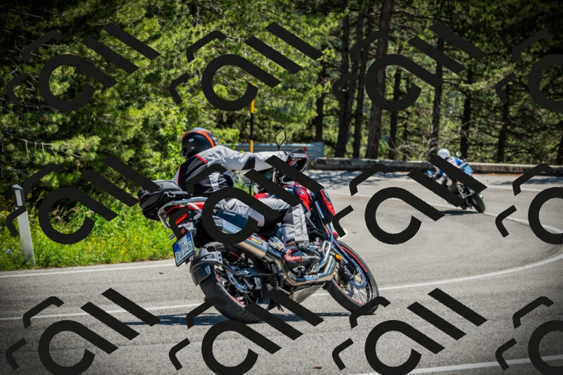 202506021215-DSC04474_c1_