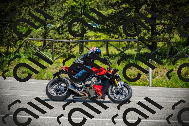 202506021215-DSC04476_c1_