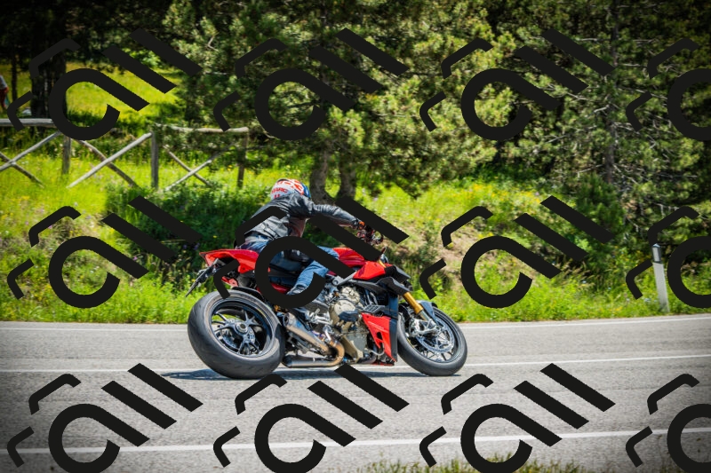 202506021215-DSC04477_c1_