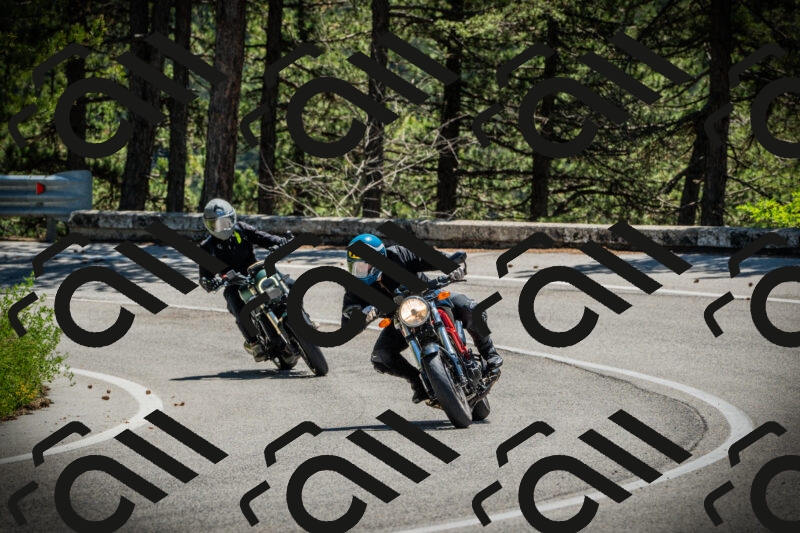 202506021215-DSC04479_c1_