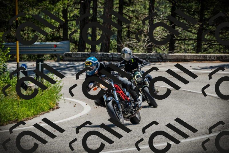 202506021215-DSC04480_c1_