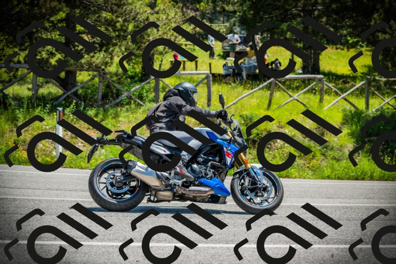 202506021215-DSC04488_c1_