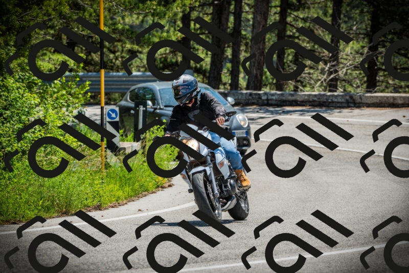 202506021215-DSC04490_c1_