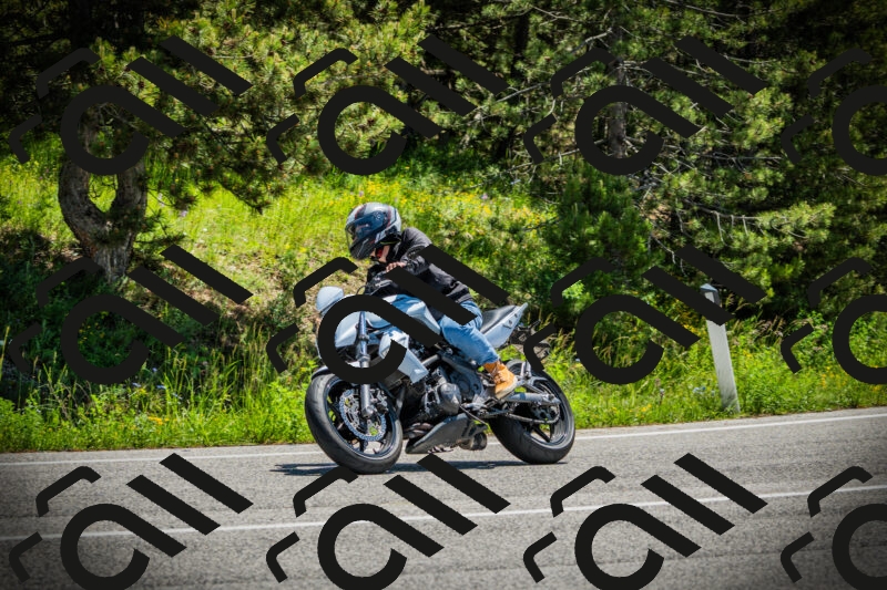 202506021215-DSC04491_c1_