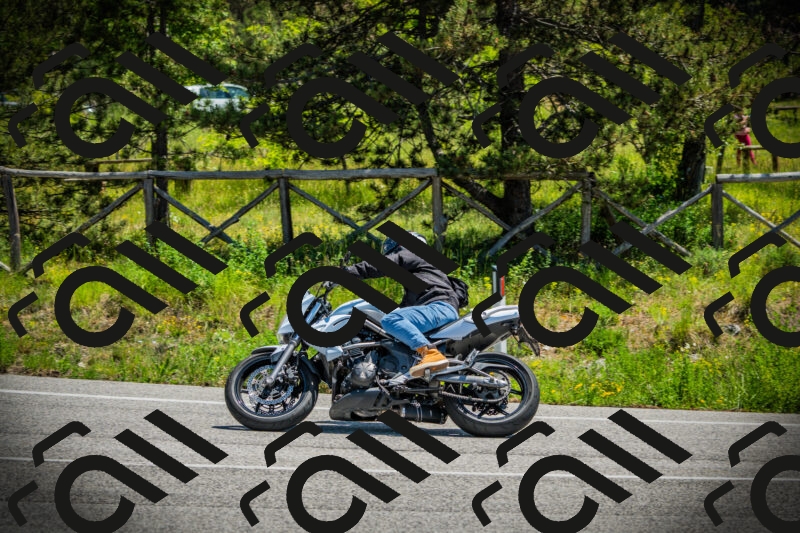 202506021215-DSC04492_c1_