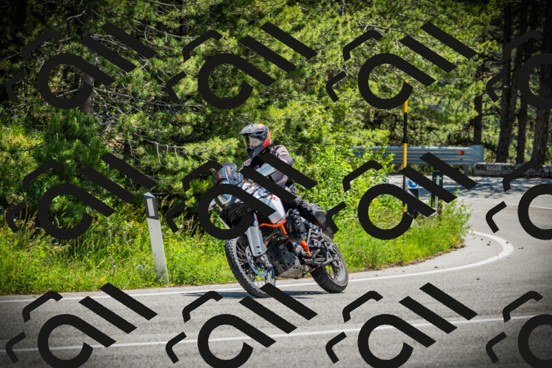 202506021216-DSC04495_c1_