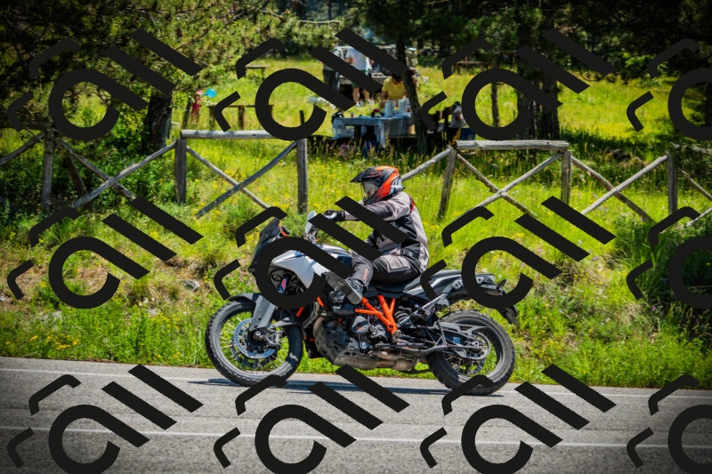 202506021216-DSC04496_c1_