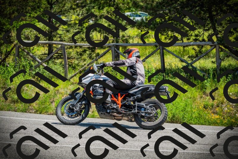 202506021216-DSC04497_c1_