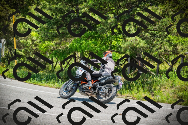 202506021216-DSC04498_c1_