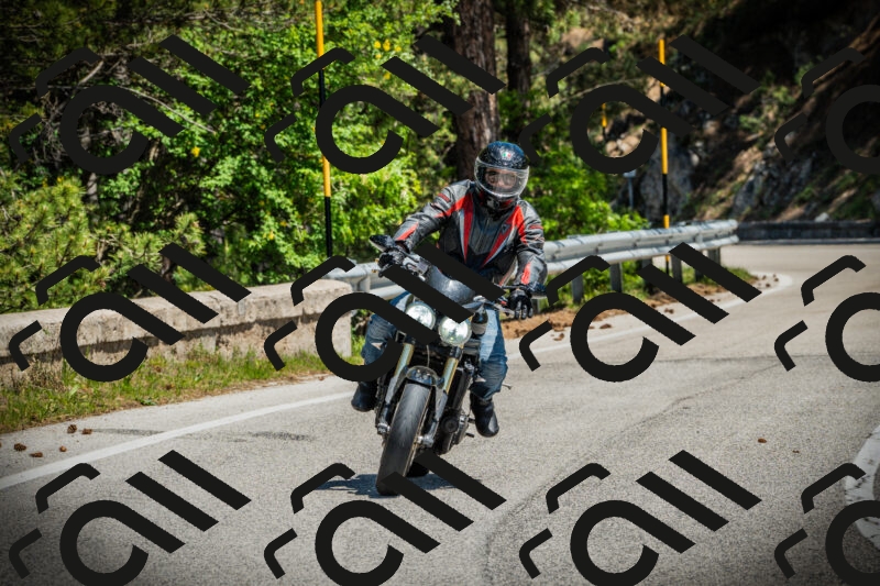 202506021216-DSC04499_c1_