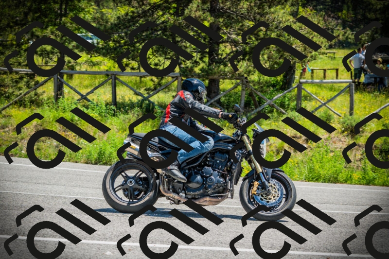 202506021216-DSC04502_c1_