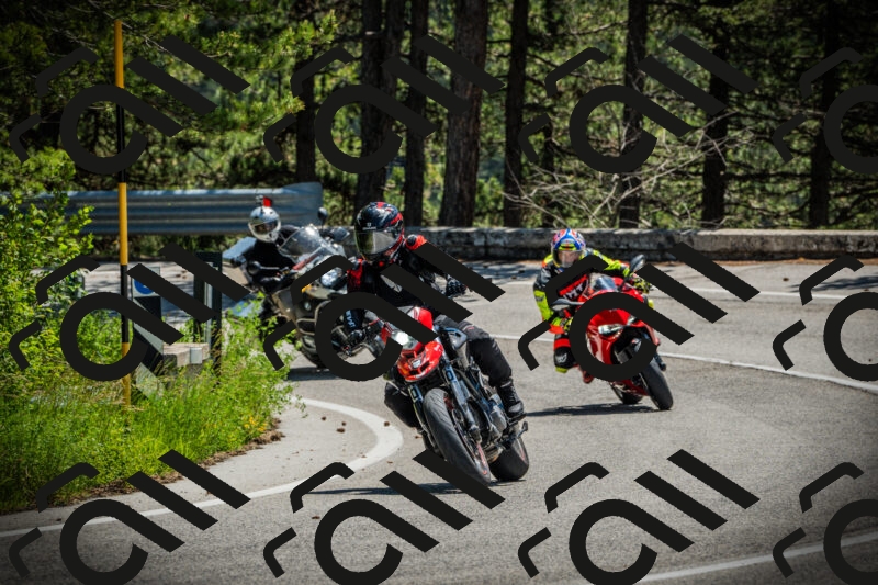 202506021216-DSC04506_c1_