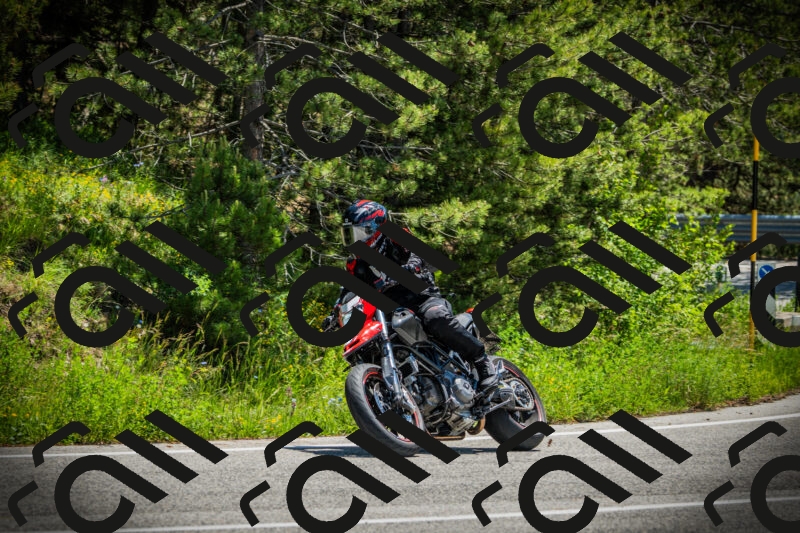 202506021216-DSC04507_c1_