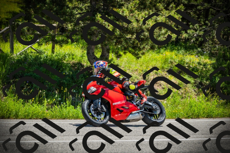 202506021216-DSC04509_c1_