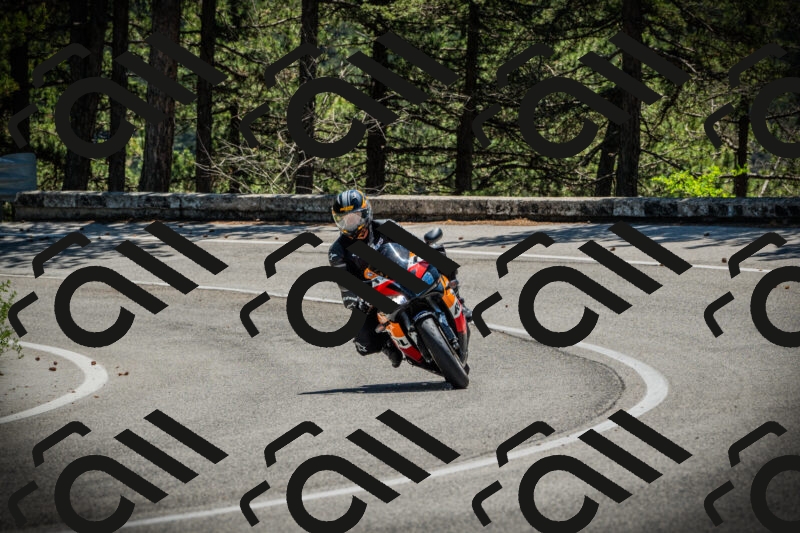 202506021217-DSC04514_c1_