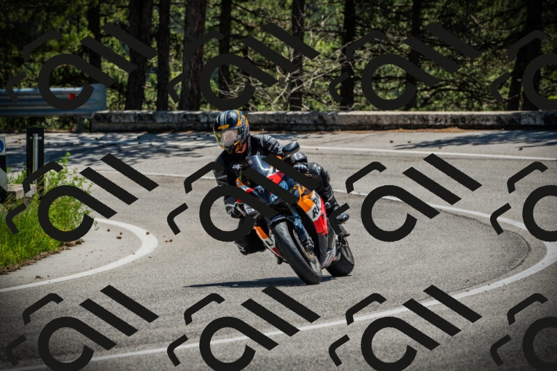 202506021217-DSC04515_c1_